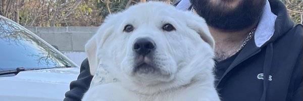 zkhosq Profile Banner