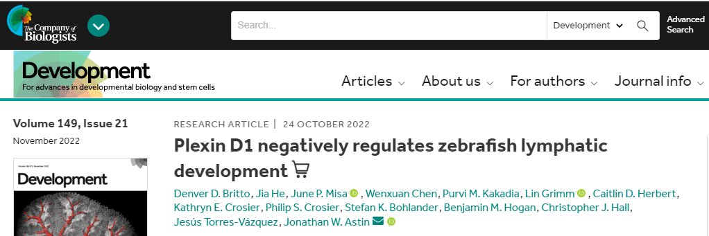 Denver Britto banner