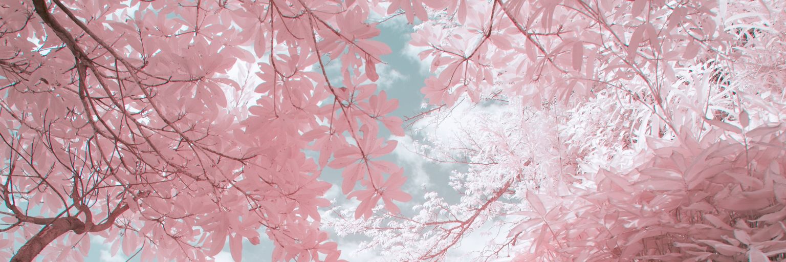 alless_118's profile banner image