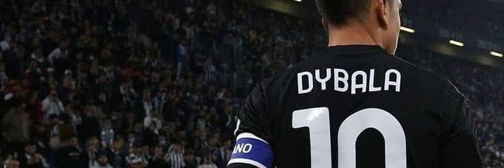 luisa banner