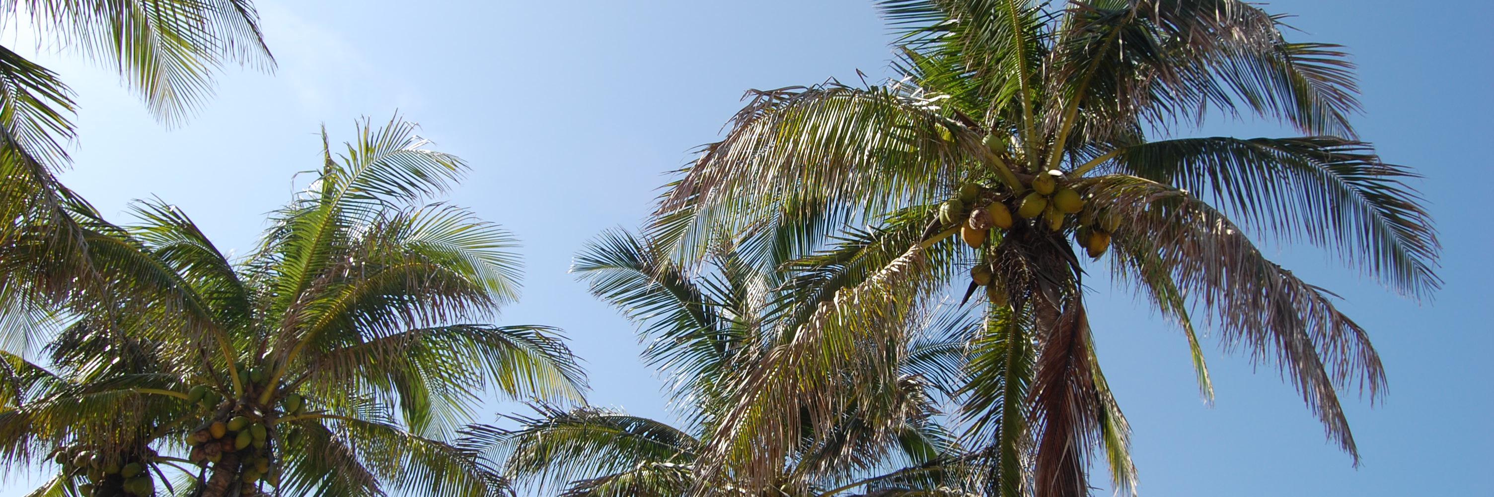 Michele E. Ewing banner