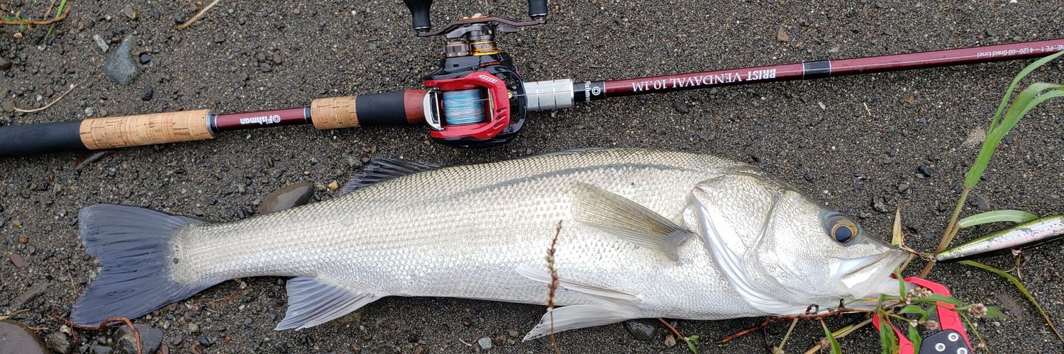 しさくさん X banner