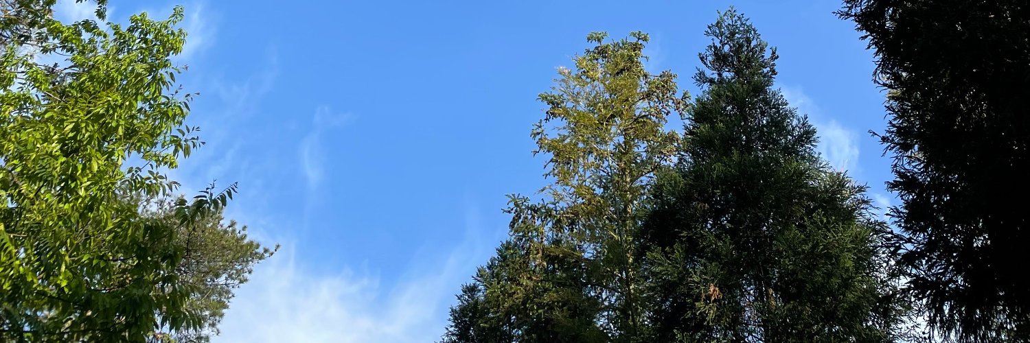 0xkocc's profile banner image