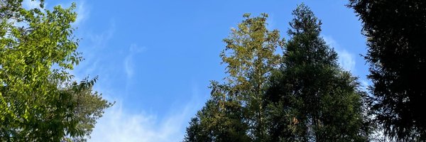 0xkocc Profile Banner