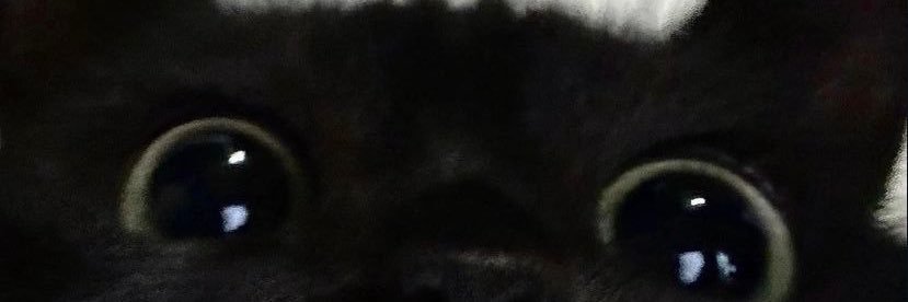 P. banner