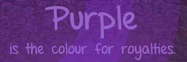 PurpleTheTop's profile banner image