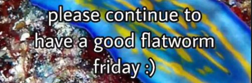 Flatworm's banner