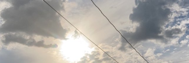 Spider317294071's profile banner image