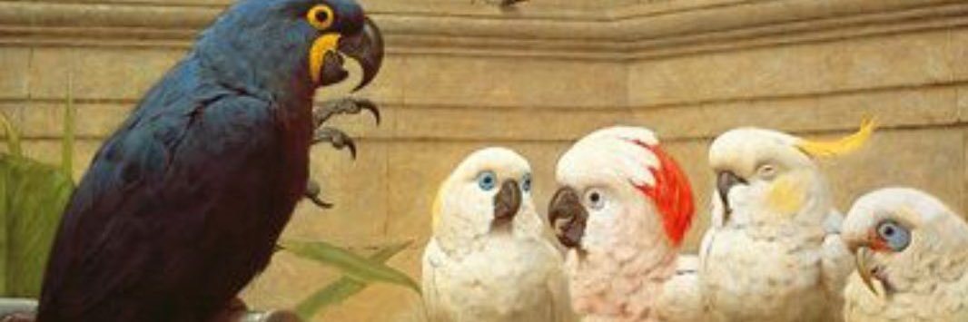 Lady__Parrot's profile banner image