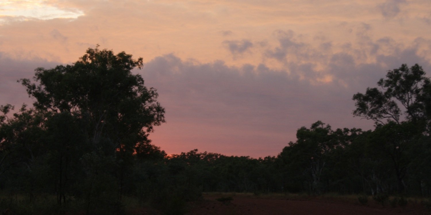 Susan Moylan-Coombs banner
