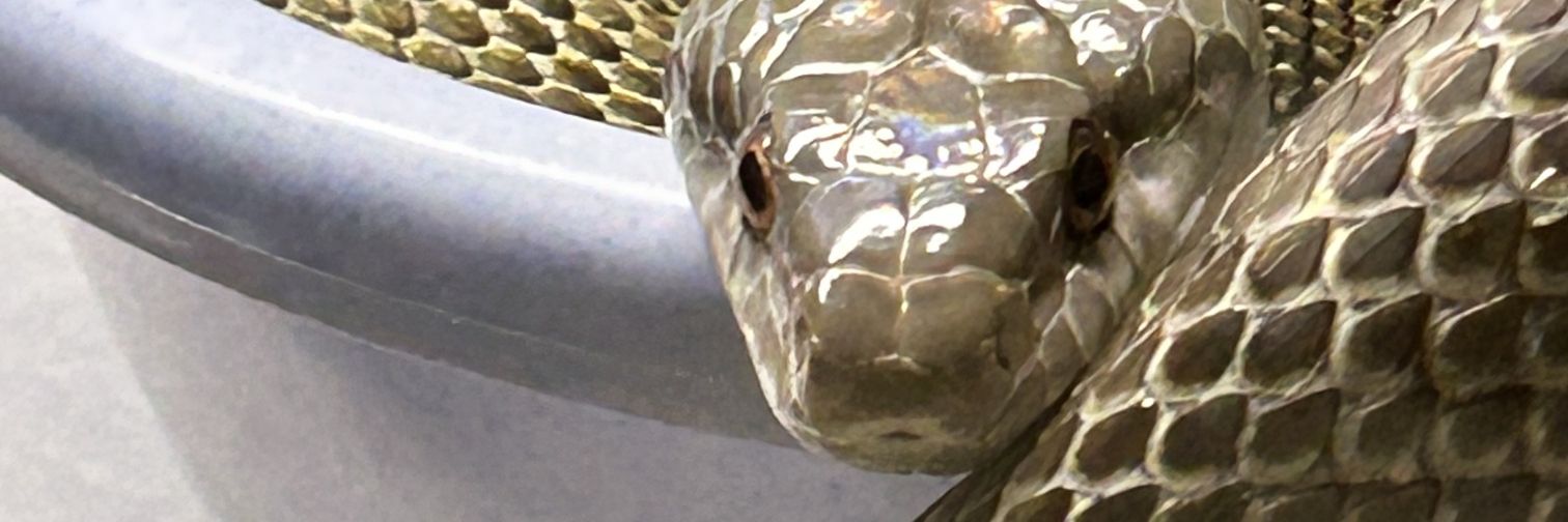 inuinuinuttat's profile banner image
