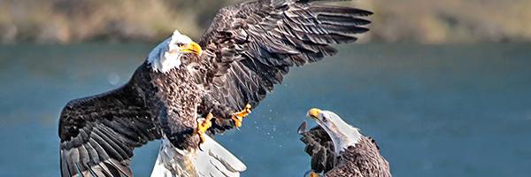 Rfabada Profile Banner