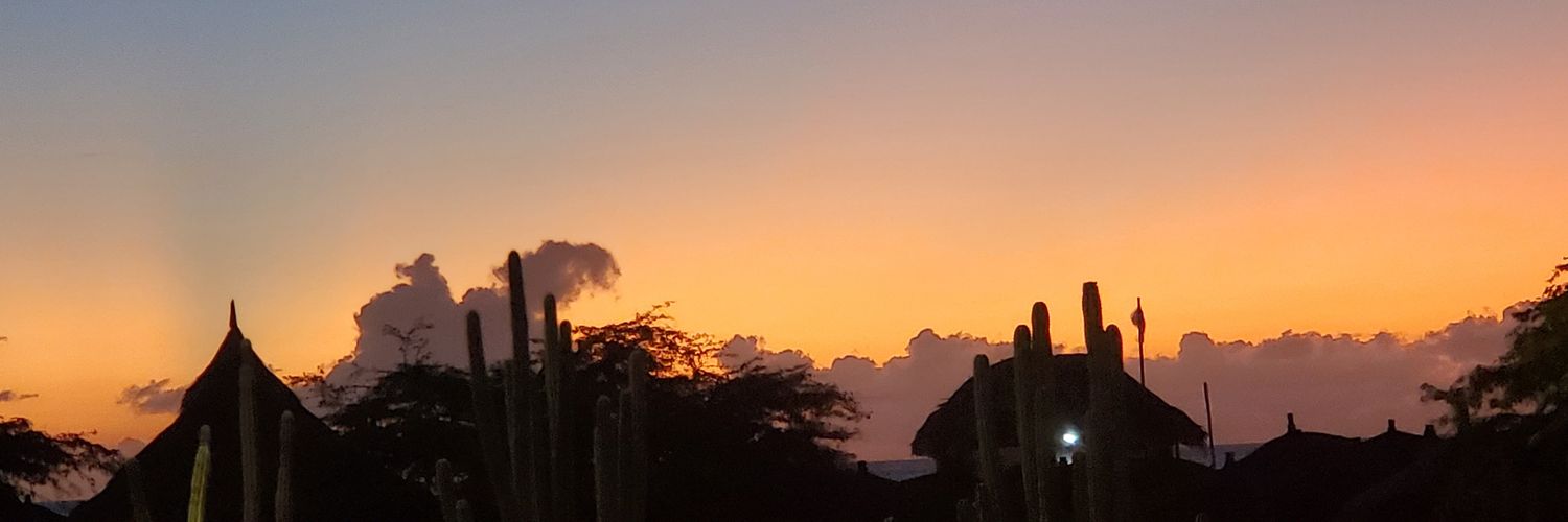 desiatocider's profile banner image