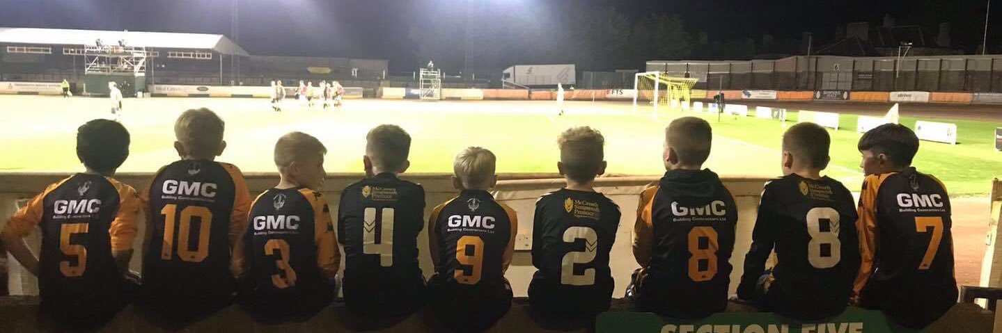 Berwick Rangers Supporters Trust ⚽️🖤💛 banner