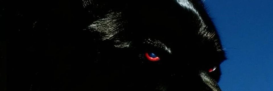 dreesav2x's profile banner image