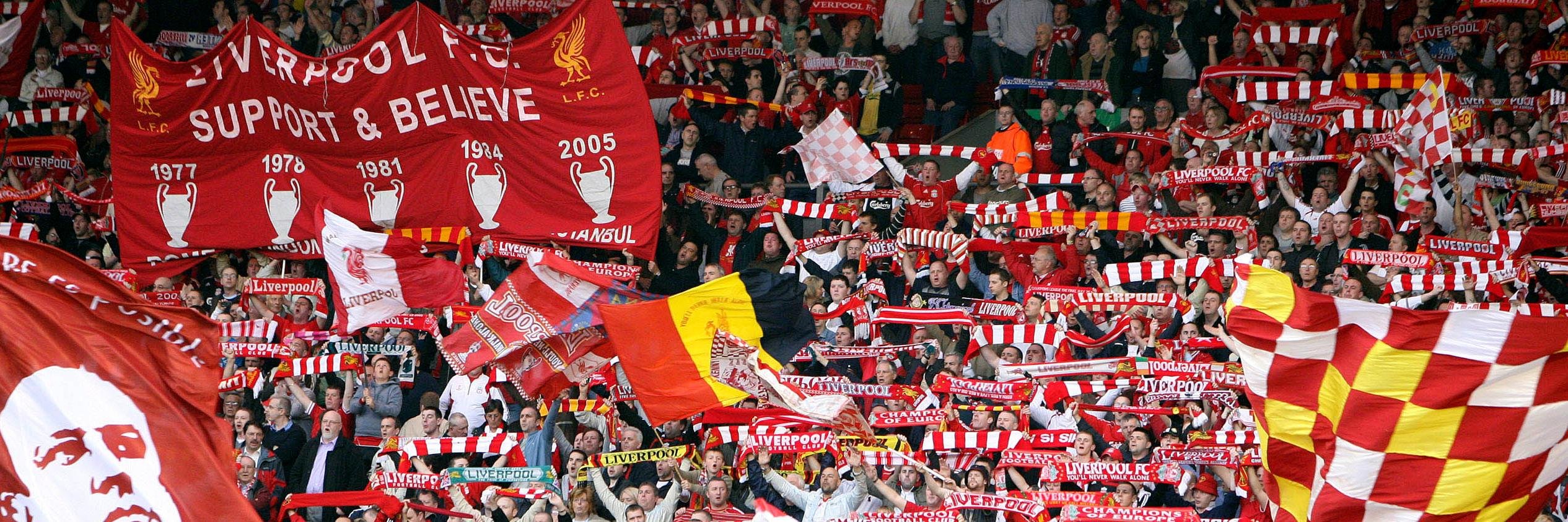 januarfaj's profile banner image