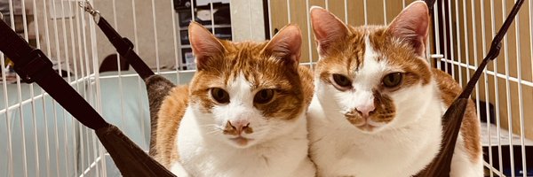 g5EKsZofMhUPrN5 Profile Banner