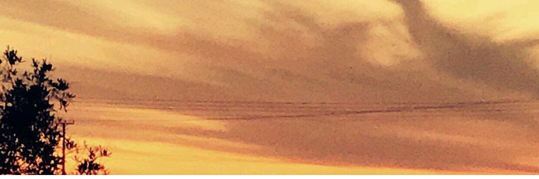 امل الغد banner