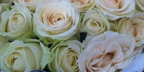 RsDyah's profile banner image