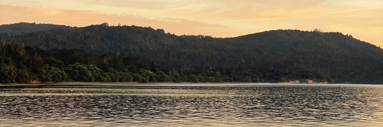 Haz_zer's profile banner image
