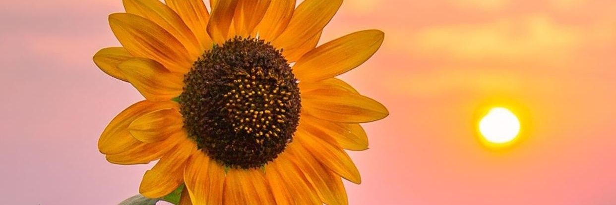 nittle0908's profile banner image