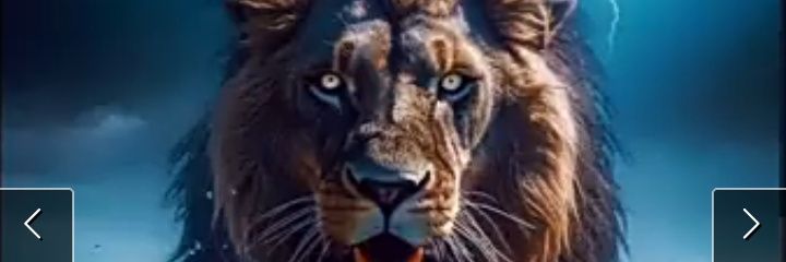 MauriceThankgod's profile banner image