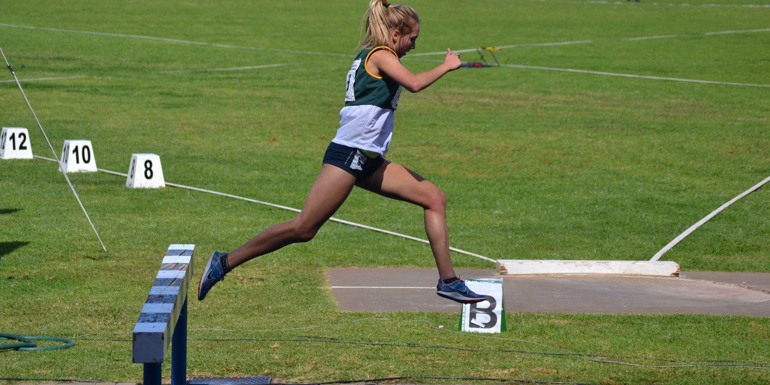 Cherise Sims banner