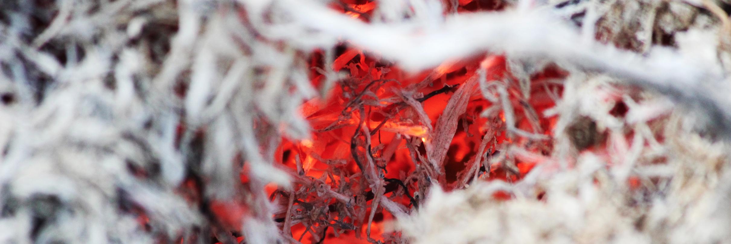 Camila Eyzaguirre V. banner