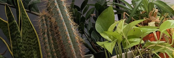 TMoranMylett Profile Banner