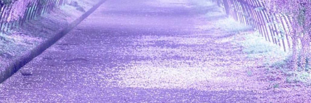 desires_your's profile banner image