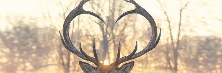 ManiteKlitch's profile banner image