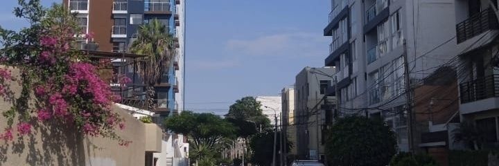 Big_Cat banner