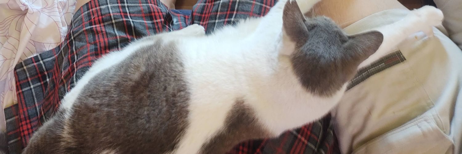 xX_Juanma2002_Xx banner