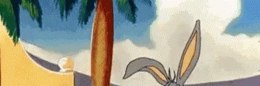 Cryptoanimal100 banner