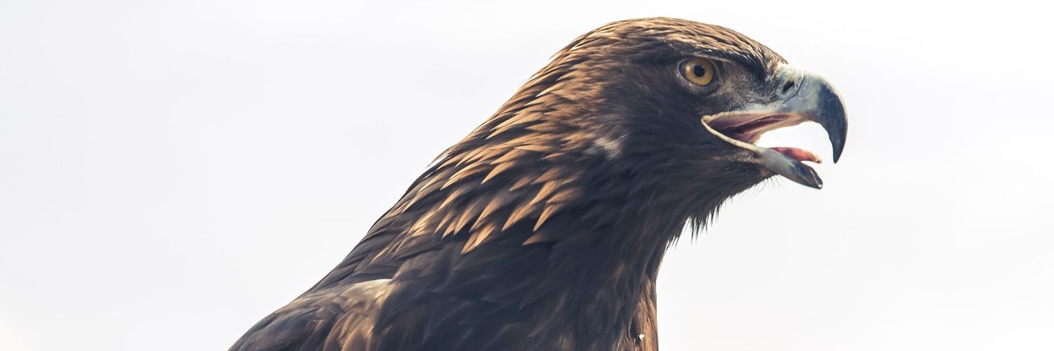 jcezar23ac's profile banner image