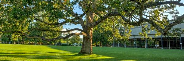 TanglewoodMA Profile Banner