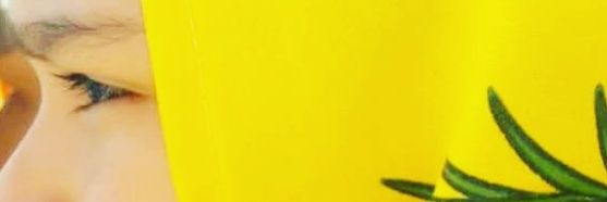 JOSEGREGORIOREY's profile banner image