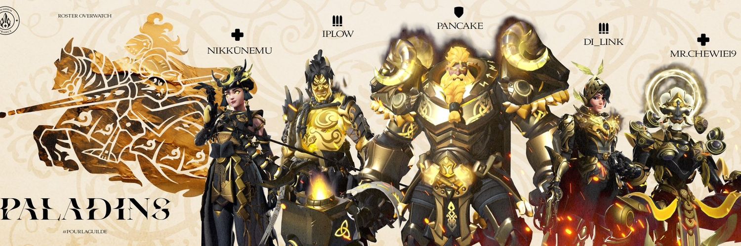 Di_Link (Didou) banner