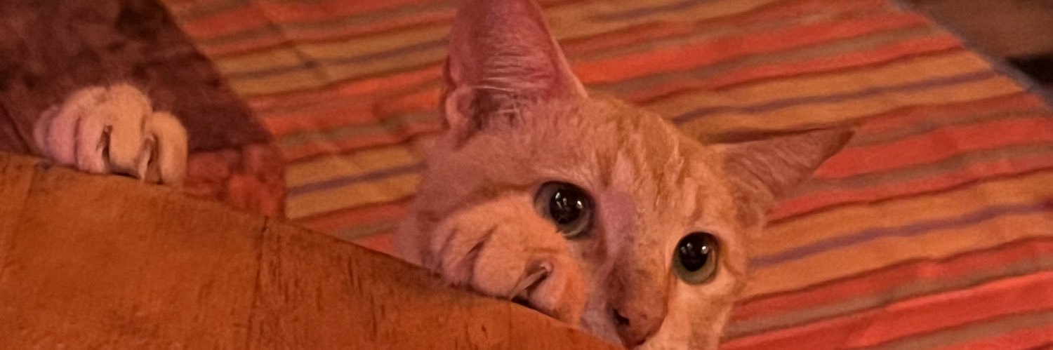 garxiakyle's profile banner image