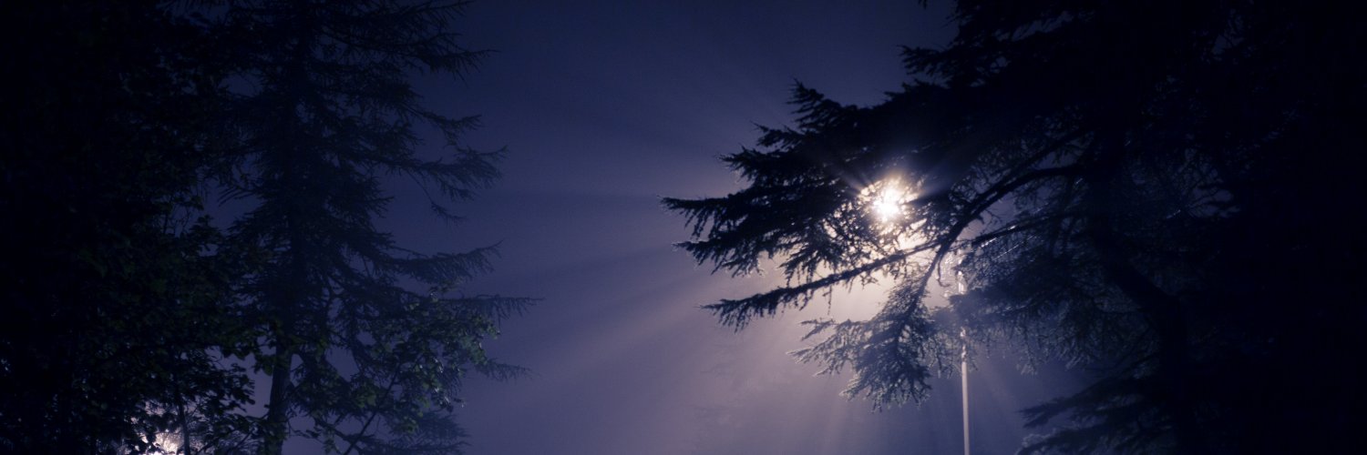 Red Said Films banner