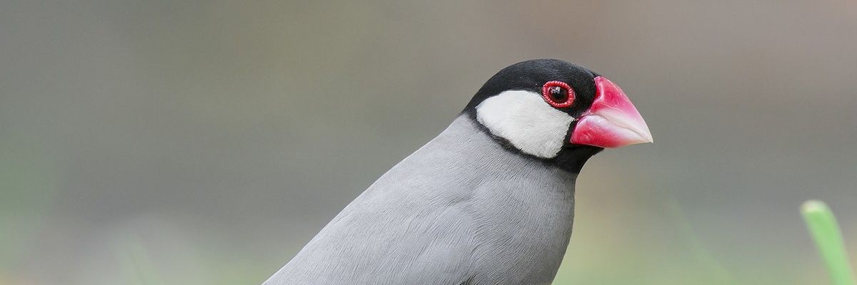 CryptoDooker's profile banner image