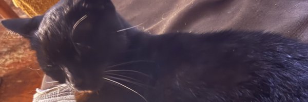 StarlightAPM Profile Banner