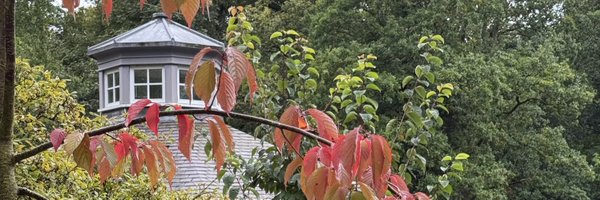 FionaBLees Profile Banner