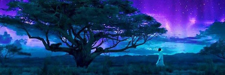 LiriZion❀˖ ࣪* banner