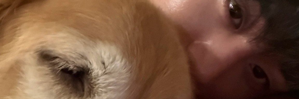 westievava's profile banner image
