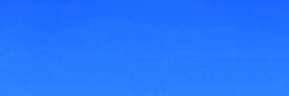 ねこてぃぬ banner