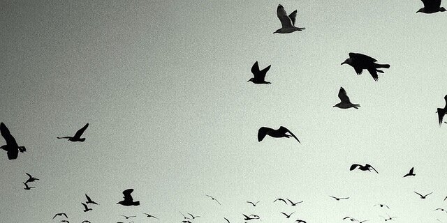 davidokeefe143's profile banner image