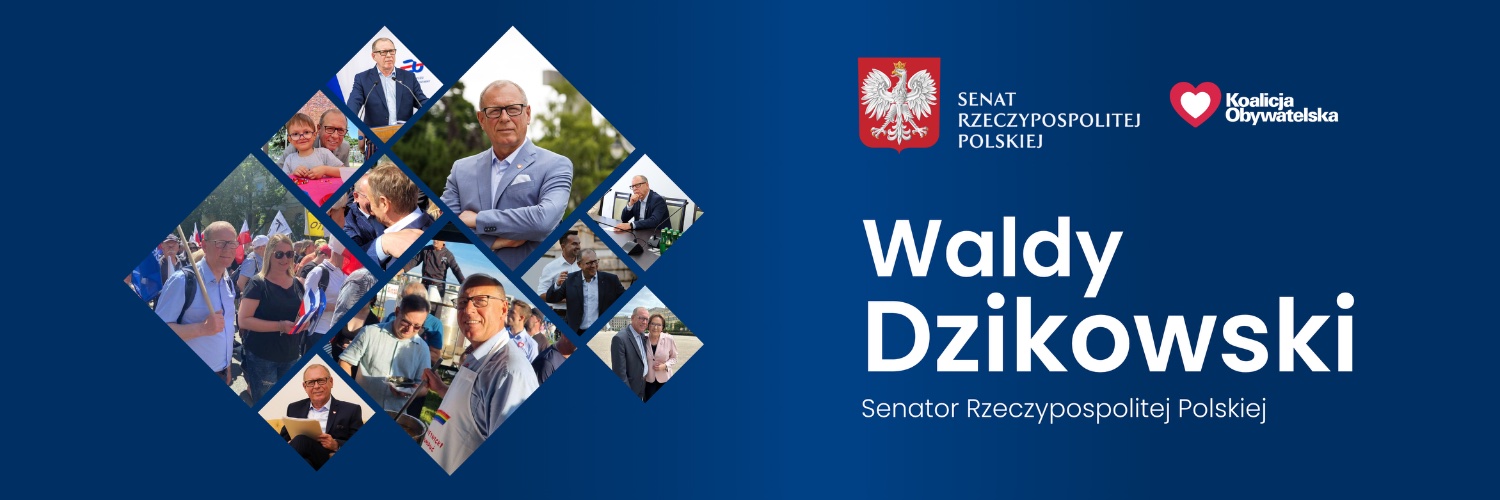 waldydzikowski's profile banner image