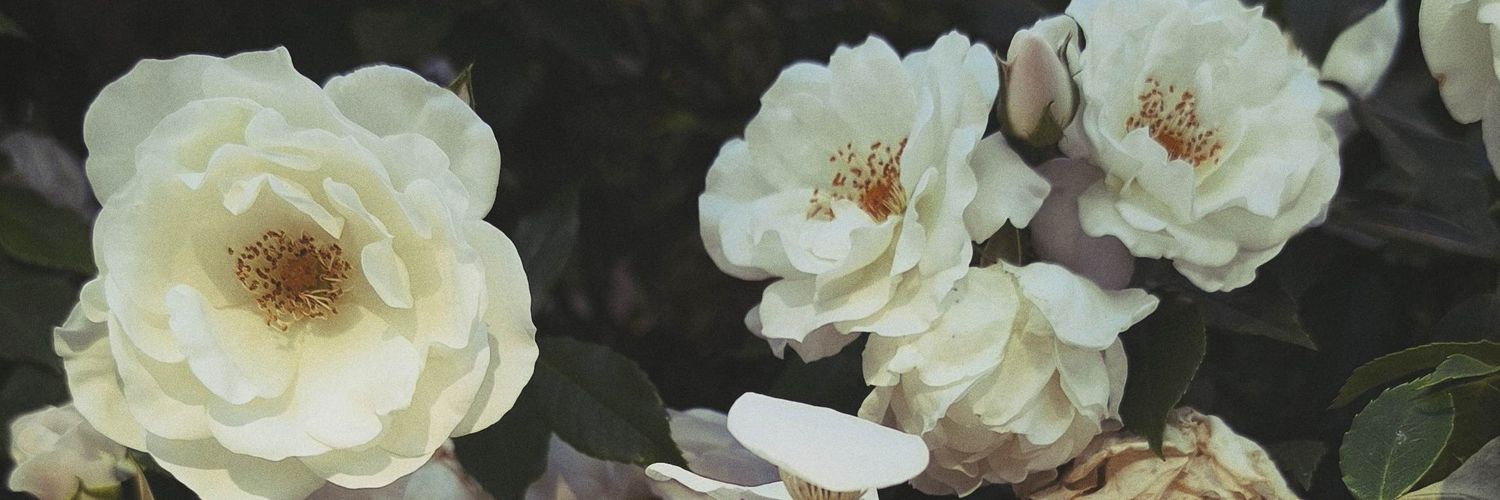 izarar7's profile banner image