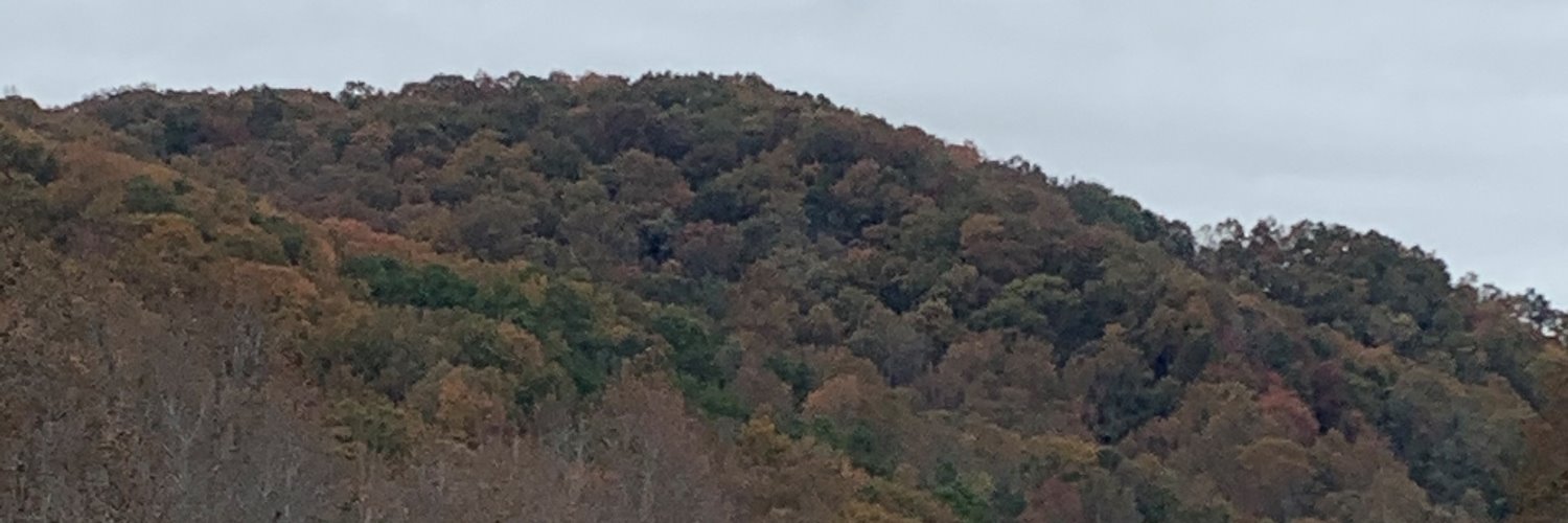 ddblackburn1's profile banner image